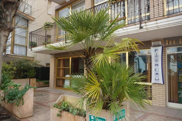 Hotel B&B Ardea Rimini Esterno foto